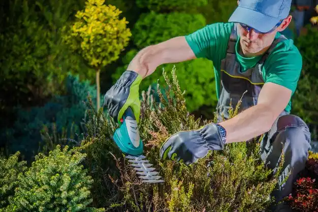 landscaping services Sonora